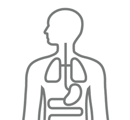 Innere Medizin, Herz Lunge im Zentrum - Kardiologie, Allergologie und Lungenarzt München