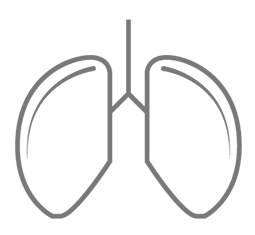 Pneumologie, Innere Medizin, Herz Lunge im Zentrum - Kardiologie, Allergologie und Lungenarzt München